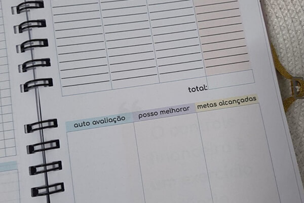 Planner-Financeiro-A-Ferramenta-Essencial-para-Organizar-Suas-Finanças-Pessoais-3